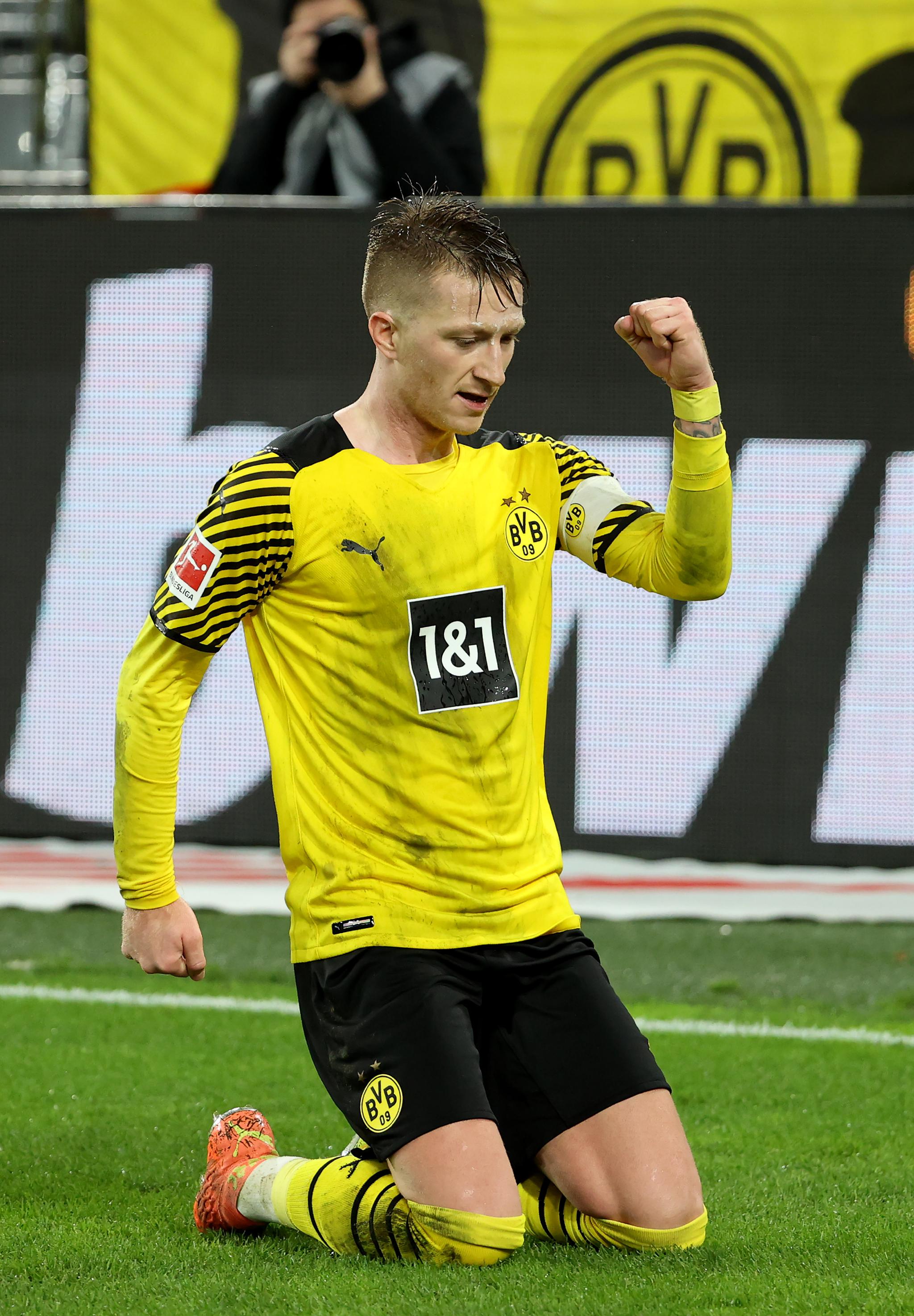 轮衬（聚氨酯）