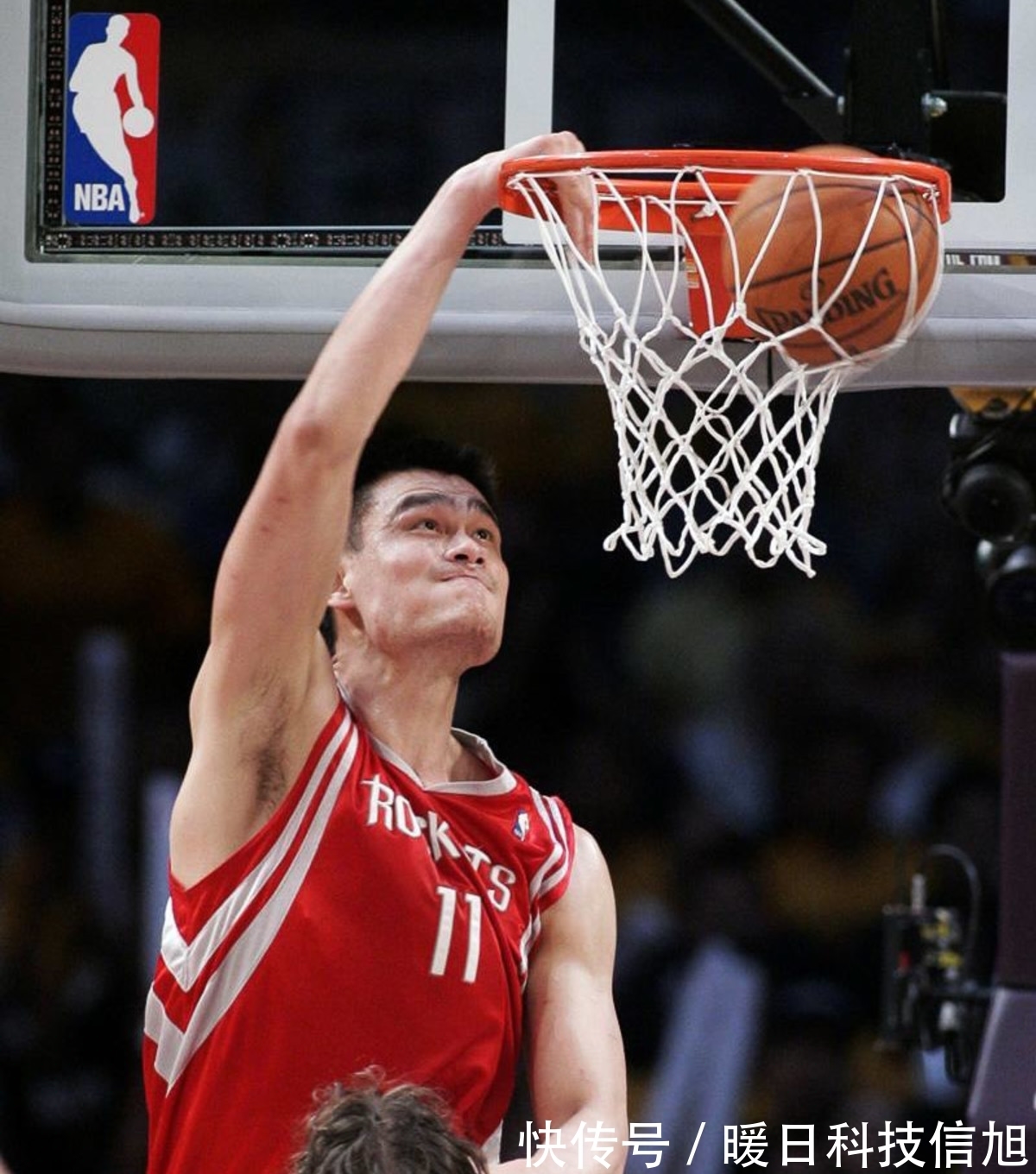 尾轮衬块及驱动轮衬块